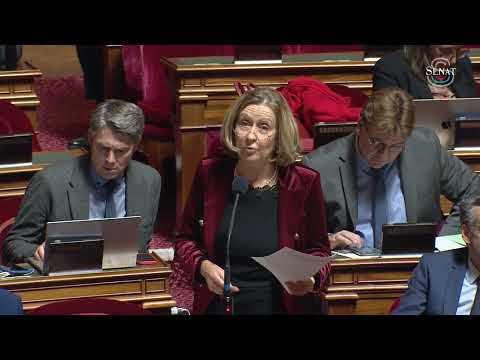 PLF 2026 | Amendement revalorisant l’enveloppe allouée aux aides sociales des Français de l’étranger