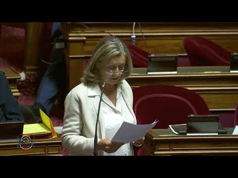 PLFR2 2020 : mon amendement pour la création d&#039;un fonds de soutien pour les Alliances françaises