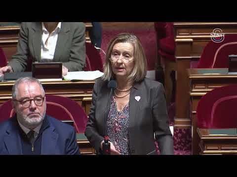 PPL sur le mandat d&#039;élu local - ma prise de parole en séance