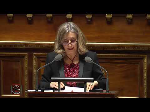 Mon intervention en séance publique sur la mission &quot;Défense&quot;.