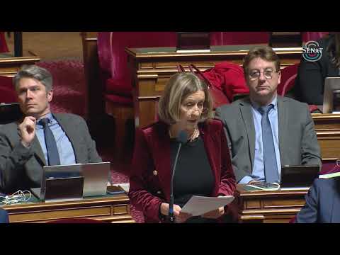 PLF 2026 | Amendement annulant la baisse d’un million d’€ des crédits alloués à l’Institut français