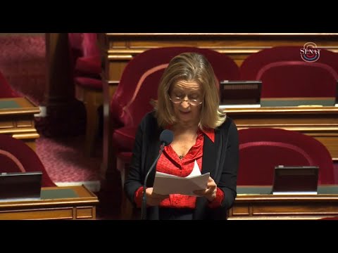 Ma question orale au gouvernement sur les bourses scolaires allouées aux élèves du réseau AEFE