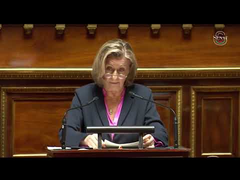 Mon intervention en discussion générale sur la PPL &quot;Dématérialisation de l&#039;état civil du MEAE&quot;.