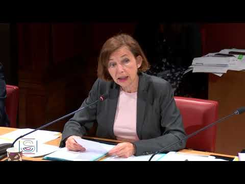 Audition de Florence Parly : réponse 2