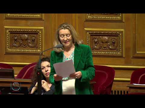 Intervention sur la PPL visant à reconnaître et soutenir les entrepreneurs français à l&#039;étranger