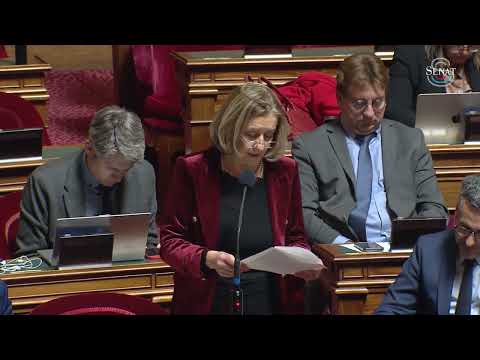 PLF 2026 | Amendement créant un fonds d&#039;urgence pour venir en aide aux Français de l’étranger