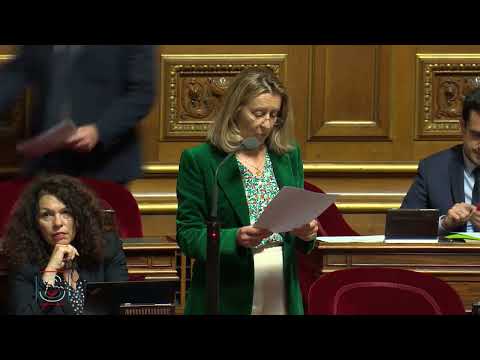 Intervention sur la PPL visant à reconnaître et soutenir les entrepreneurs français à l&#039;étranger