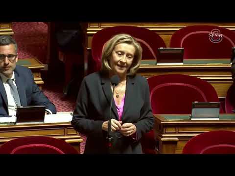 PPL dématérialisation de l&#039;état civil du MEAE : mon amendement sur le point d&#039;étape annuel