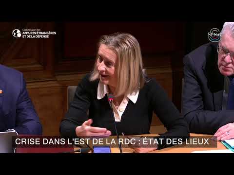 Audition - Christophe Lutundula Apala, président de la commission Relations extérieures (Sénat, RDC)