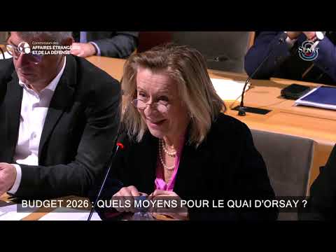 Mes questions à Anne-Marie Descôtes, secrétaire générale du MEAE lors de son audition en commission