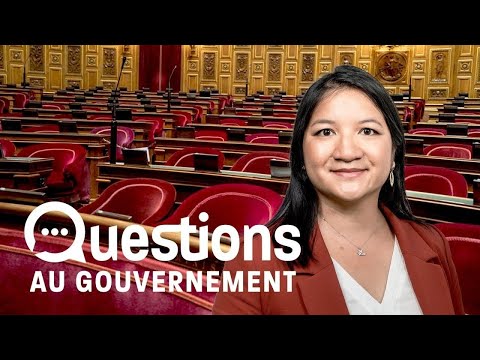[Direct] 🔴 Questions d&#039;actualité au Gouvernement 06-03-24