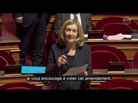 PPL statut des élus locaux : mon amendement pour une indemnité de fonction en cas de congé mat/pat