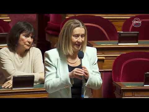 Ma question orale sur la création d&#039;une MDPH dédiée aux Français de l&#039;étranger
