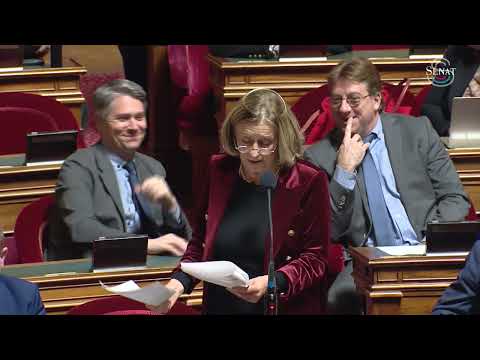 PLF 2026 | Amendement instaurant un nouvel indicateur relatif au certificat de nationalité française