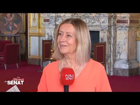 Mon interview sur Public Sénat pour évoquer la situation à Gaza et la reconnaissance de la Palestine