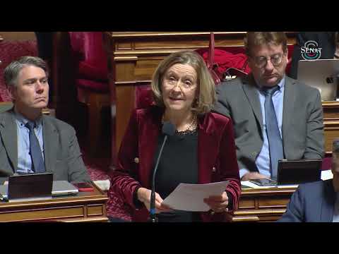 PLF 2026 | Amendement annulant la baisse de l’enveloppe allouée aux centres médico-sociaux