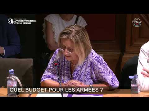 Audition du ministre des Armées : mes questions