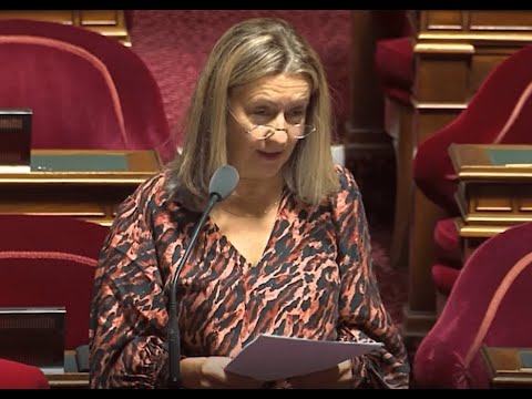 Ma question à la ministre des affaires étrangères sur l&#039;état de notre réseau consulaire