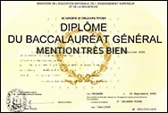 Reponse A Ma Question Ecrite Relative A La Suppression De La Bourse Au Merite Helene Conway Mouret