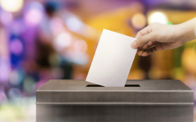 Report des élections consulaires : ma réaction dans « Le Petit journal »