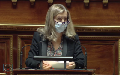 Mon intervention lors de la discussion générale sur la proposition de loi modifiant la gouvernance de l’AEFE et créant les Instituts régionaux de formation