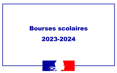 Mon courrier à l’AEFE sur le déroulement du conseil consulaire sur les bourses scolaires (CCB1) à Djibouti