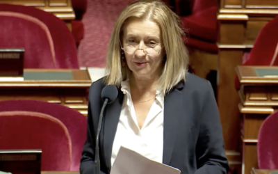 Mon intervention en séance pour accorder la protection fonctionnelle aux conseillers des Français de l’étranger