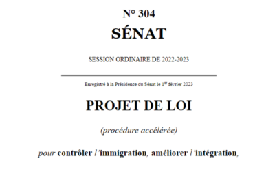 Mes interventions lors de l’examen du projet de loi immigration