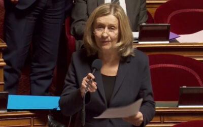 Mes amendements à la proposition de loi visant la création d’un statut de l’élu local : le Sénat est la maison des territoires, mais aussi la maison des Français de l’étranger !