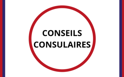 La réponse du ministre Stéphane Séjourné à mon courrier sur le refus d’annexer au procès-verbal des conseils consulaires les déclarations liminaires de certains élus