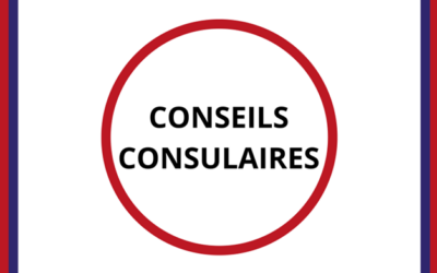 Mon courrier au ministre Stéphane Séjourné sur le refus d’annexer au procès-verbal des conseils consulaires les déclarations liminaires de certains élus