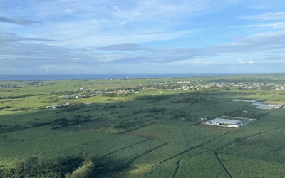 Mon déplacement à l’Île Maurice