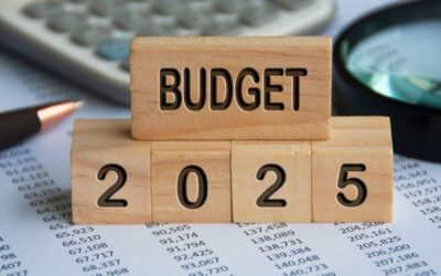 Mes amendements au projet de loi de finances 2025