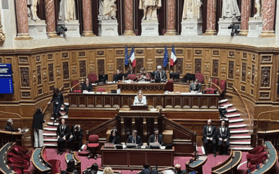 Mon interview pour lepetitjournal.com sur la proposition de résolution pour restaurer la sécurité en Haïti