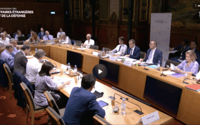 Mes questions au ministre des Armées dans le cadre de la préparation du prochain budget