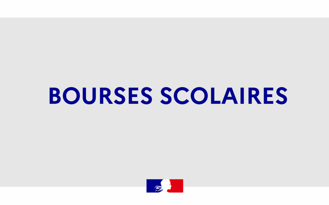 Mon courrier à la directrice de l&rsquo;AEFE, Claudia Scherer-Effosse, sur la situation préoccupante des bourses scolaires en Turquie