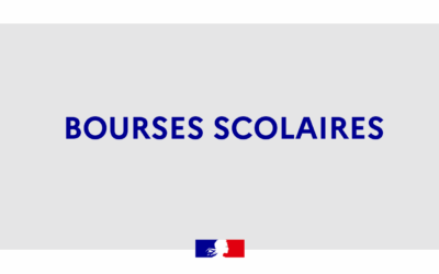 Mon courrier à la directrice de l’AEFE, Claudia Scherer-Effosse, sur la situation préoccupante des bourses scolaires en Turquie